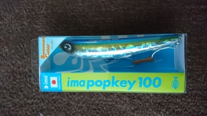 popkey 100 (֥롼Хå ɥ)