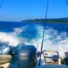 IKITSUKI-DREAM.FISHING
