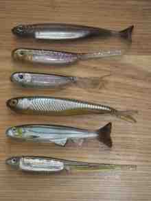 さくま青果の釣り日誌-フラッシュJハドル