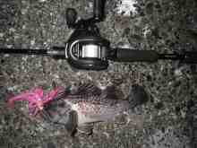 �������Ĳ̤��������-��������