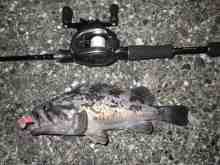 �������Ĳ̤��������-��������