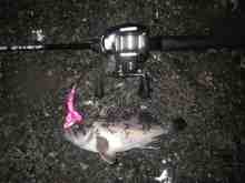 �������Ĳ̤��������-��������