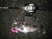 �������Ĳ̤��������-��������