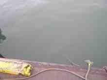 �������Ĳ̤��������-����