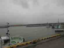 �������Ĳ̤��������-����