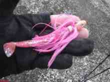 �������Ĳ̤��������-�ѥ����å�