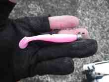 �������Ĳ̤��������-���ʥåץ���å�