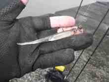 �������Ĳ̤��������-�ޥ��顼�ߥΡ�