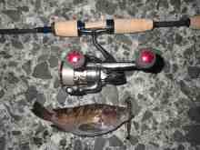 �������Ĳ̤��������-����