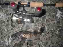 �������Ĳ̤��������-����