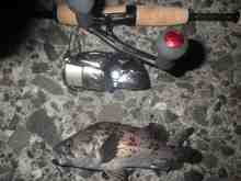 �������Ĳ̤��������-����