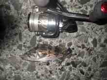 �������Ĳ̤��������-����