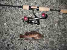 �������Ĳ̤��������-����