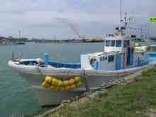 �������Ĳ̤��������-������