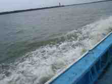 �������Ĳ̤��������-��