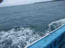 �������Ĳ̤��������-��