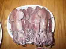 �������Ĳ̤��������-�ޥᥤ��