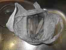 さくま青果の釣り日誌-マメイカ