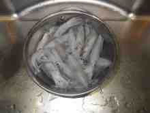 さくま青果の釣り日誌-マメイカ