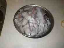 さくま青果の釣り日誌-マメイカ