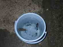 �������Ĳ̤��������