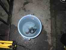 �������Ĳ̤��������-�ޥᥤ��