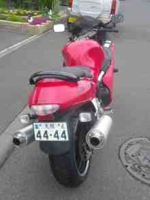 さくま青果の釣り日誌-ハヤブサ