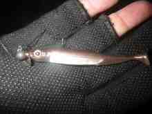 �������Ĳ̤��������-�ե�å���J�ϥɥ�