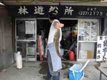 江戸川放水路 ハゼ 釣り 林遊船 のブログ