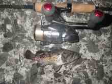 �������Ĳ̤��������-��������