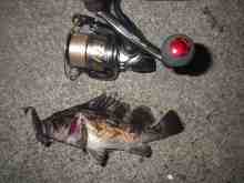 �������Ĳ̤��������-��������