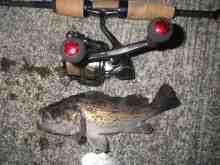 �������Ĳ̤��������-��������