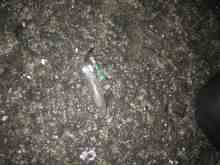 �������Ĳ̤��������-�ޥᥤ��