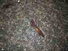 �������Ĳ̤��������-�ޥᥤ��