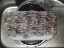 �������Ĳ̤��������-�ޥᥤ��