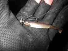 �������Ĳ̤��������-�ե�å���ʥϥɥ�