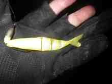 �������Ĳ̤��������-����Х���90