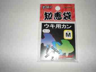 $Mパパの釣果記録〜湘南・江の島、陸っぱり釣行記〜