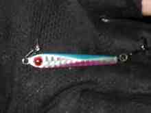 �������Ĳ̤��������-�ץꥺ�ʡ�