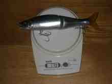 ���祤�����ޥ��ʥ�