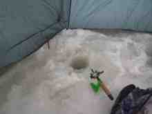 �參�������