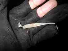 �ȥ饤���Х���