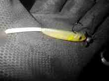 スーパーシャッドシェイプワーム