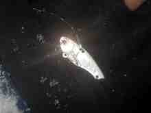 �����֥�å�