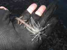 ����������