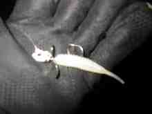 �ȥ饤���Х���