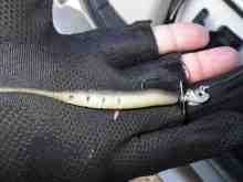 ����Х���å�