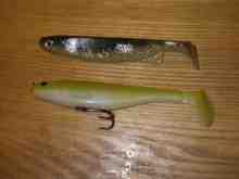 ビビッドクルーズ