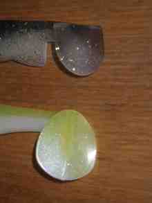 ビビッドクルーズ