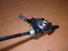 エクスセンス右